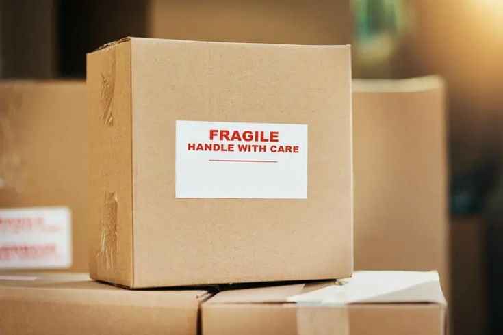 Professional Packing Techniques for Fragile and Precious Items While Relocating