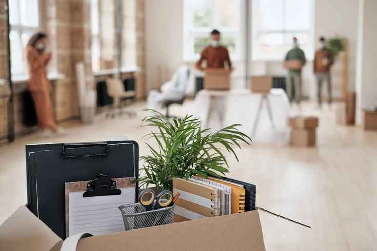 Relocation Risk Assessment: How Professionals Identify and Minimize Moving Risks